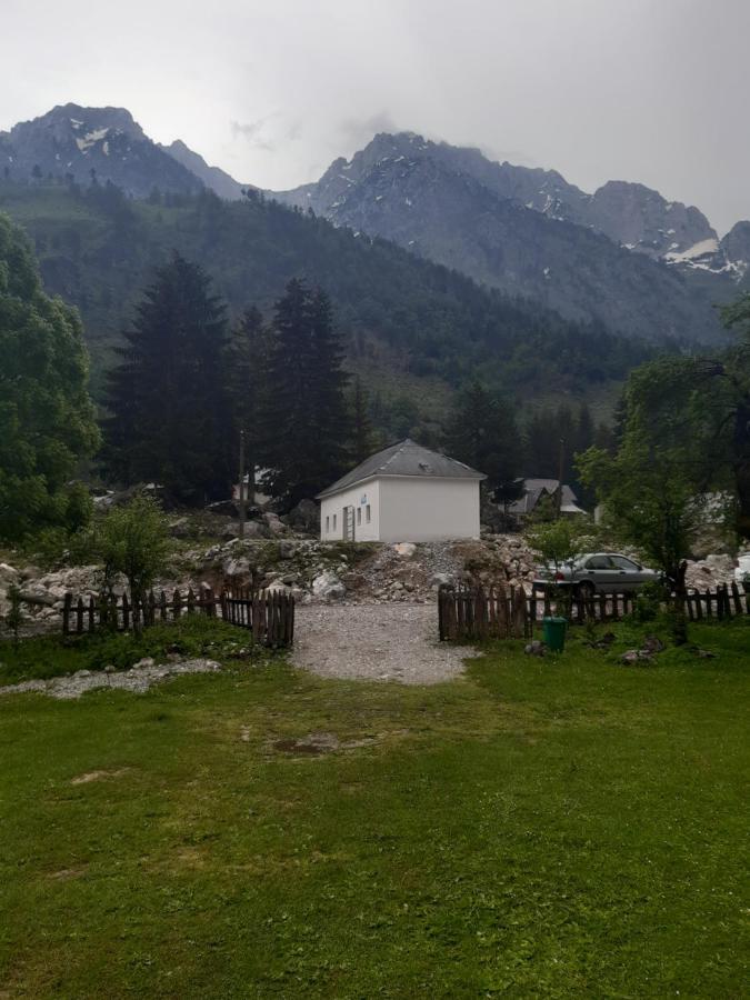 Bujtina Hysa فالبني المظهر الخارجي الصورة